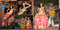 /album/quince-anos/a4-jpg/